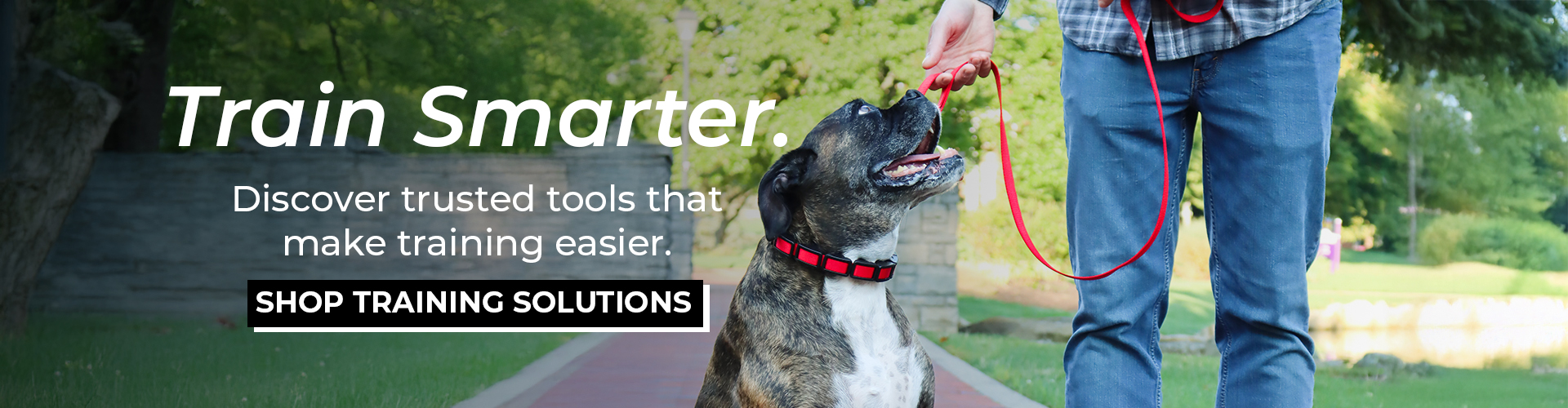 Person training a dog outdoors in a park, with the dog sitting attentively and receiving a treat while wearing a red Natural Control training collar and Loops 2 leash. Text on image reads: “Train Smarter. Discover trusted tools that make training easier. SHOP TRAINING SOLUTIONS.